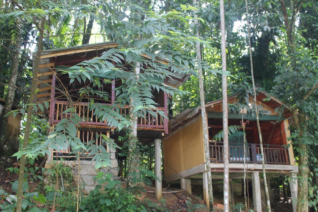 Hotel Rafters Retreat Kitulgala Exteriér fotografie